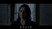 Film Festival Movie GIF by Signature Entertainment