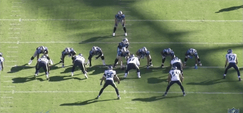 theriotreport giphyupload GIF