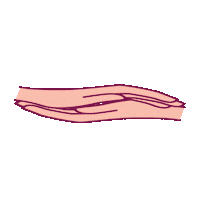 Cancer Sticker by Hivimar