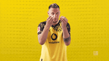 Suele Borussia Dortmund GIF by Bundesliga