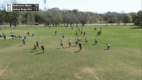 flikulti ultimate frisbee flik GIF