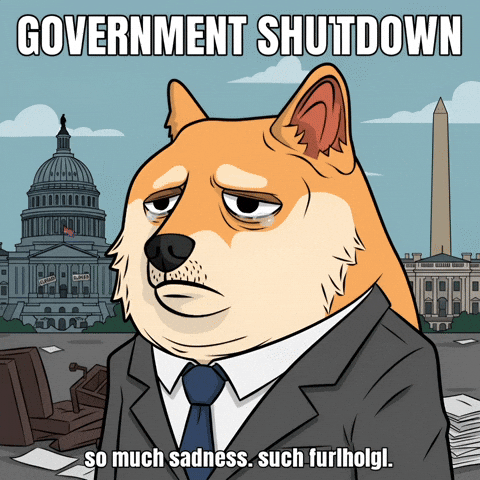 Sad Shiba Inu GIF by Doge Pound