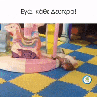 StudentLifeCyprus  GIF