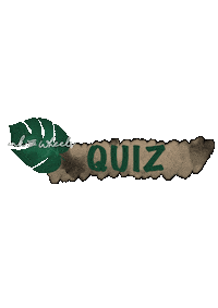 Tattoo Quiz Sticker