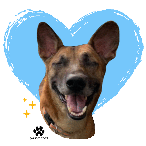 Happy Dog Sticker by Pawssion Project Foundation Inc.