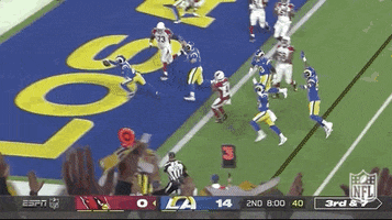 Los Angeles Rams Football GIF by NFL