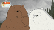 We Bare Bears Panda GIF by Cartoon Network