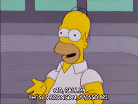 homer simpson episode 13 GIF