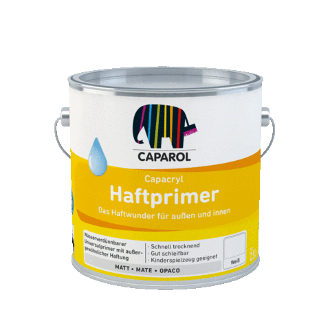 Paintshack giphyupload happy paint caparol Sticker