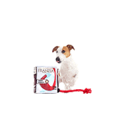 Red Wine Dogs Sticker by Franzia Wines