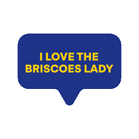 briscoesnz  Sticker