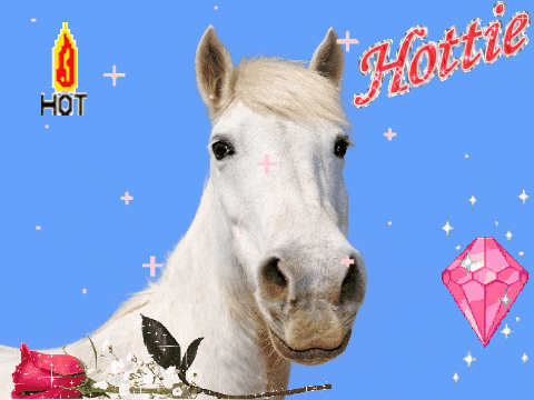 handsome horse GIF by Romy