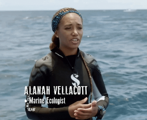 Discovery GIF by Shark Week