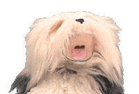 Samson En Gert Sticker by Studio 100