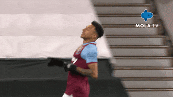 Happy Football GIF by MolaTV