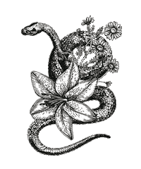 The Garden Sticker by Doubleday Books