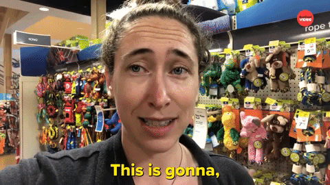 Puppies National Puppy Day GIF by BuzzFeed