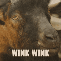 Wink Flirt GIF by Velkopopovický Kozel