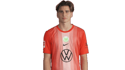 Happy Football Sticker by VfL Wolfsburg