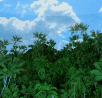 GIF by Mad Decent