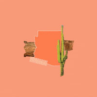 Vote Reaction GIF by Crooked Media