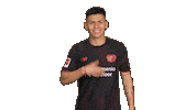 Bayer Leverkusen Sticker by Bundesliga