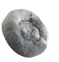 Cat Bed Sticker by CatsHome