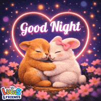 Good Night GIF by Lucas and Friends by RV AppStudios