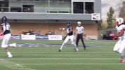 usu GIF by USUAthletics