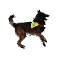Rettungshund Sticker by Österreichische Rettungshundebrigade