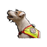 Rettungshund Sticker by Österreichische Rettungshundebrigade