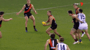 sport afl GIF by Essendon FC