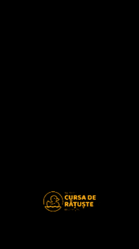 cursaderatustebuc yellow duck ducks rotaract GIF