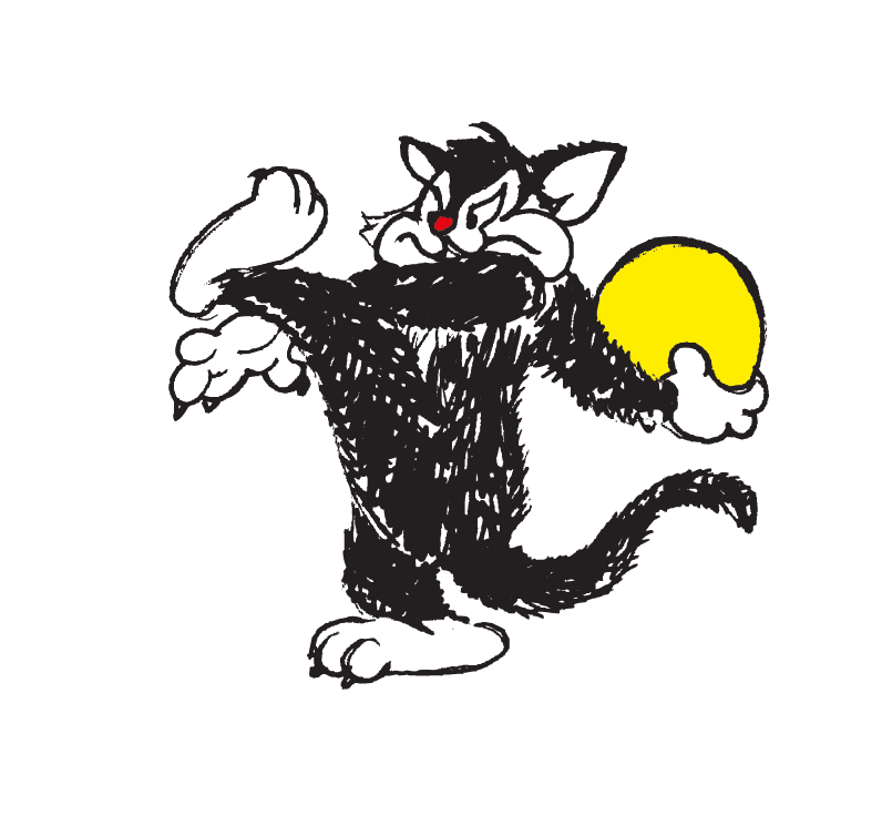 Raalte Sticker by De Stöppelkaters