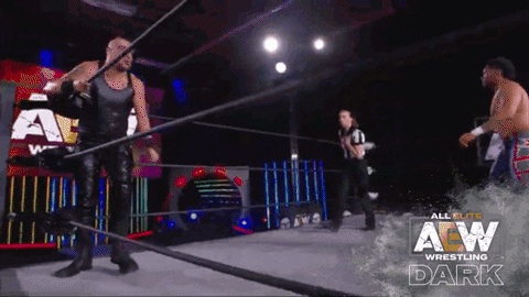 Aew GIF by ALL ELITE WRESTLING