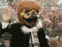 espn utah GIF by College GameDay
