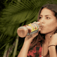 GIF by La Lechonera