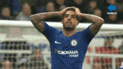 GIF by MolaTV