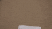 Happy Great Job GIF by Rostrum Records