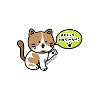 onatuchi hello hooman onatuchi Sticker