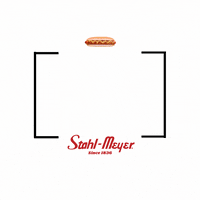 stahlmeyer  GIF