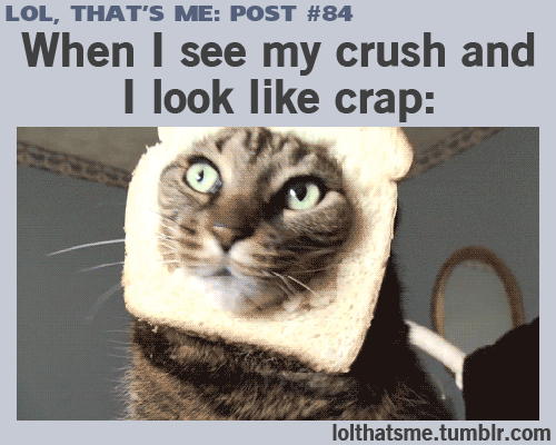 crush GIF