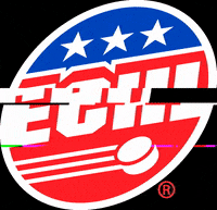 ECHLhockey hockey echl GIF