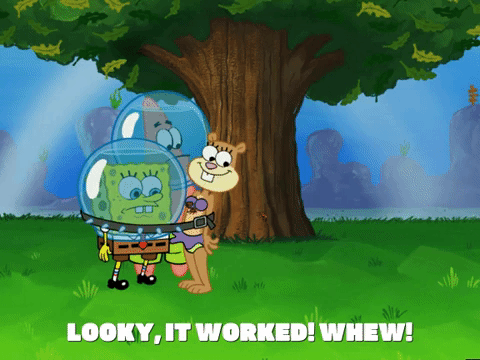 season 5 episode 10 GIF by SpongeBob SquarePants