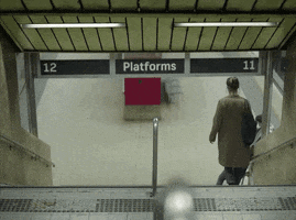 toronto international film festival birdie GIF by TIFF