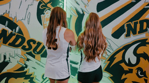 Volleyball Bison GIF by NDSU Athletics