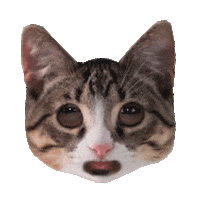 Happy Birthday Love Sticker by PEEKASSO