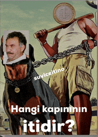 Erdogan Chp GIF