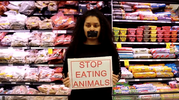 Shoppers Confront Vegan Protesters in Auckland Supermarket Meat Aisle