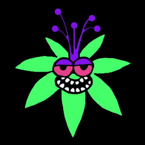 theflowery weed 420 flowery high as a kite GIF